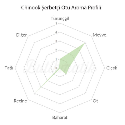 Chinook Şerbetçi Otu Aroma Profili - Butikmatik