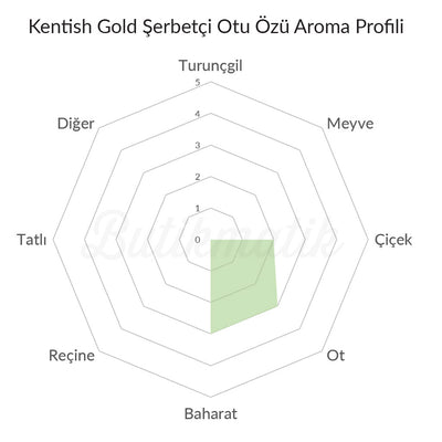 Kentish Gold Şerbetçi Otu Özü - Butikmatik