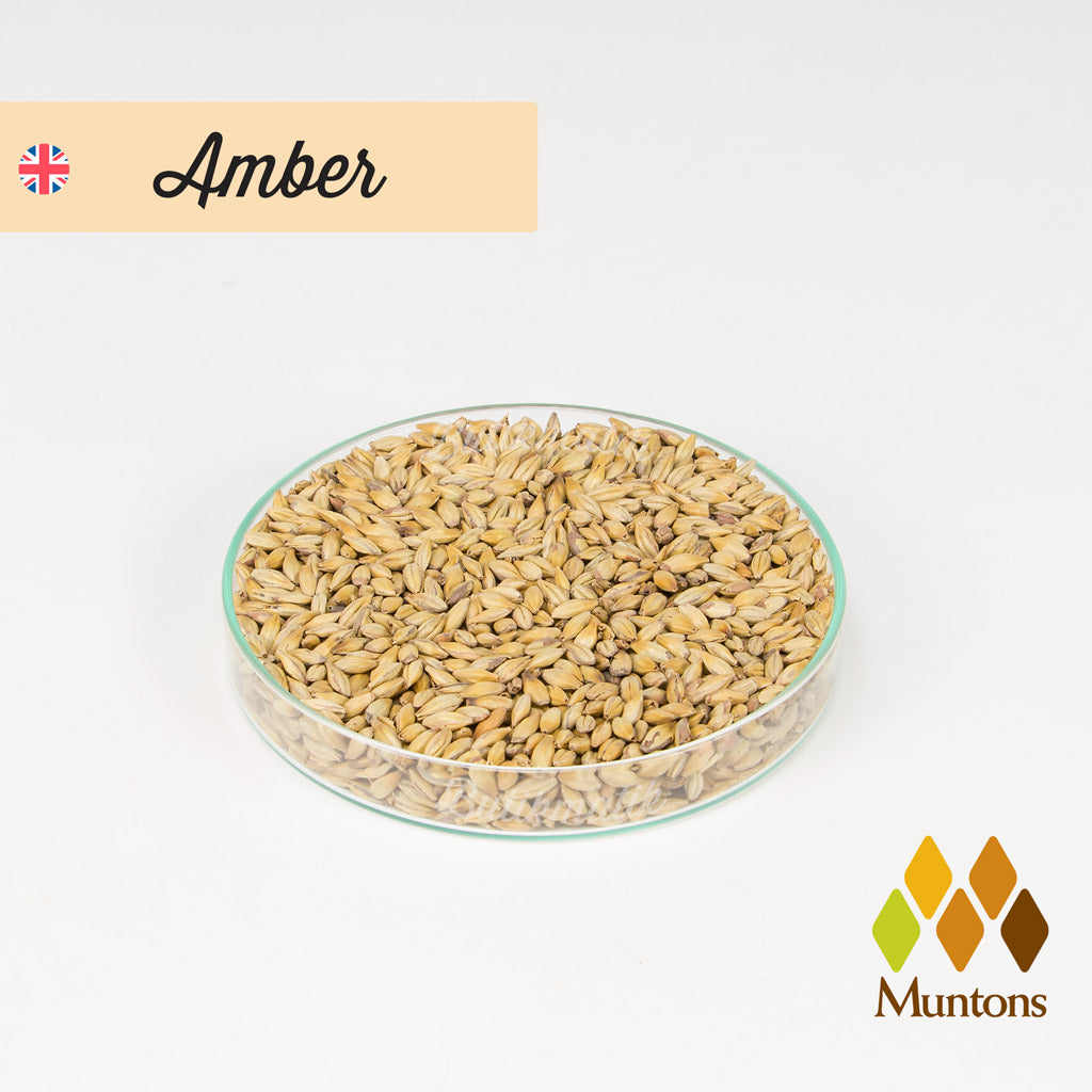 Muntons Amber Arpa Maltı - Butikmatik
