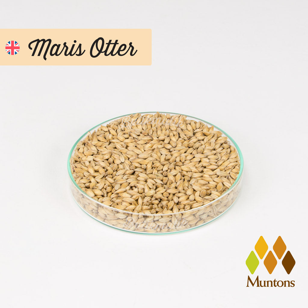 Muntons Maris Otter Arpa Maltı - Butikmatik