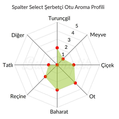 Spalter Select Şerbetçi Otu - Butikmatik