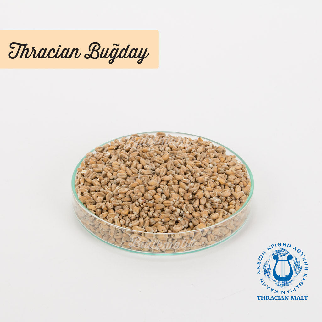 Thracian Buğday Maltı - Butikmatik