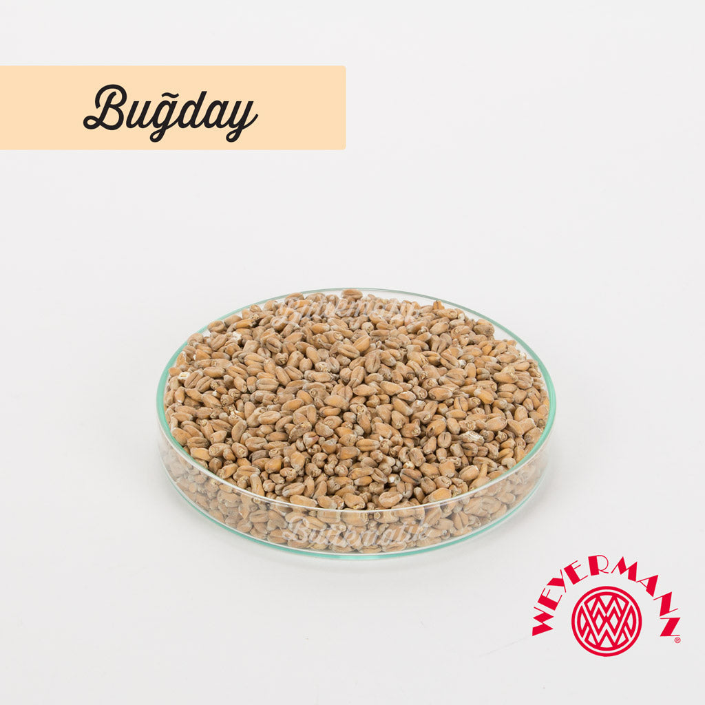 Weyermann Açık Renk Buğday Maltı - Butikmatik