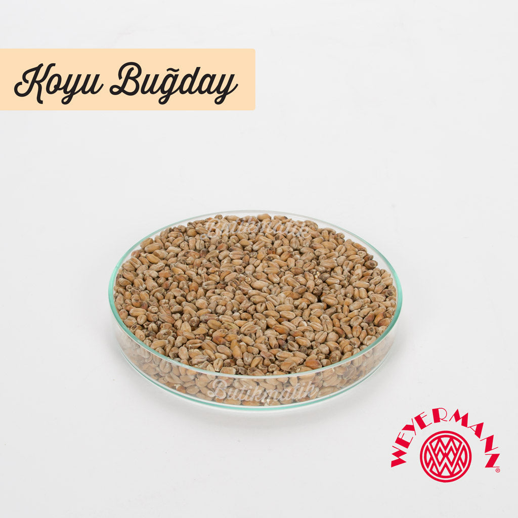 Weyermann Koyu Renk Buğday Maltı - Butikmatik