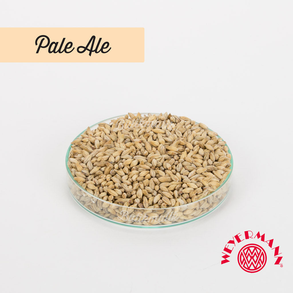 Weyermann Pale Ale Arpa Maltı - Butikmatik
